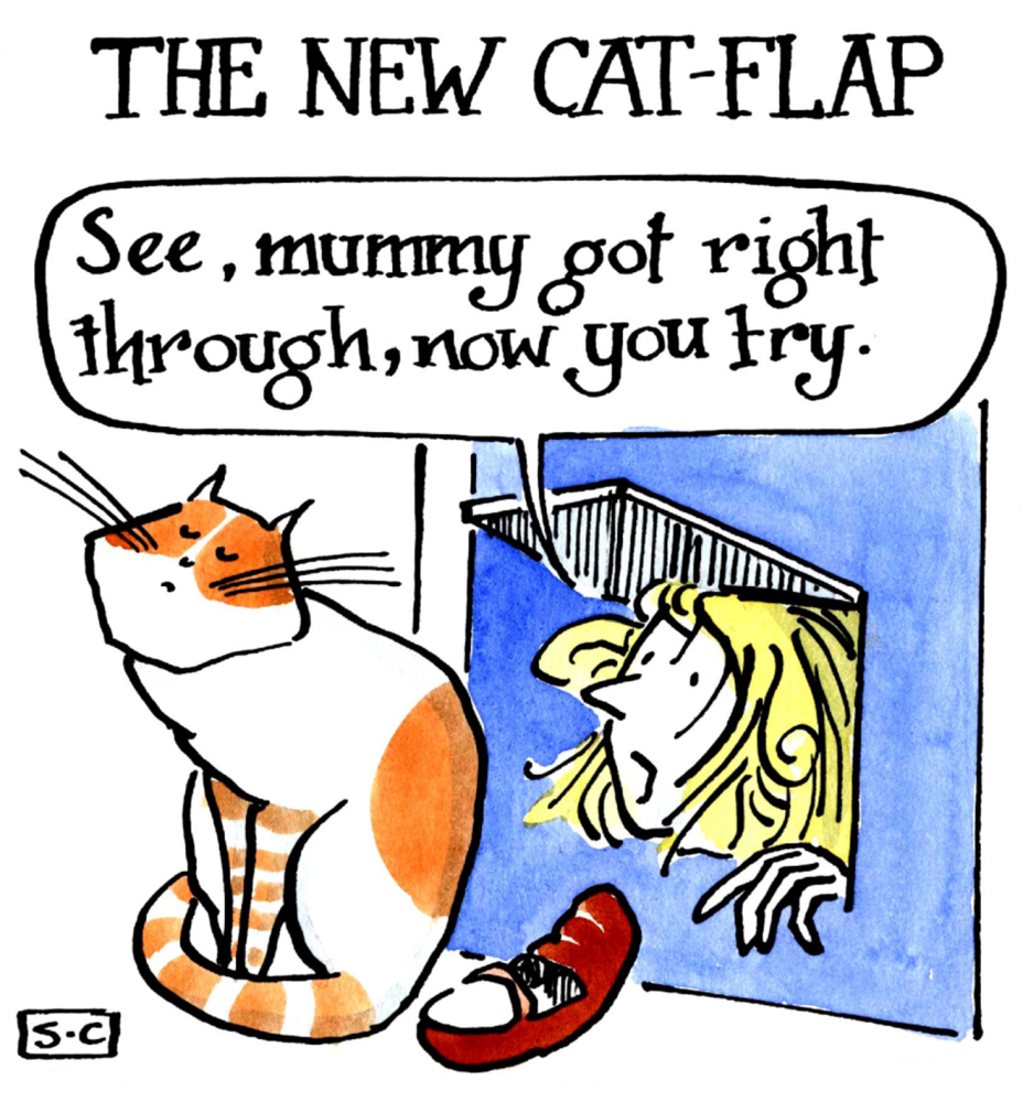 New Cat Flap