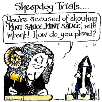 Sheepdog Trials - You're Accused Of Shouting Mint Sauce