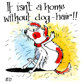 It's Not a Home Without Dog Hair!