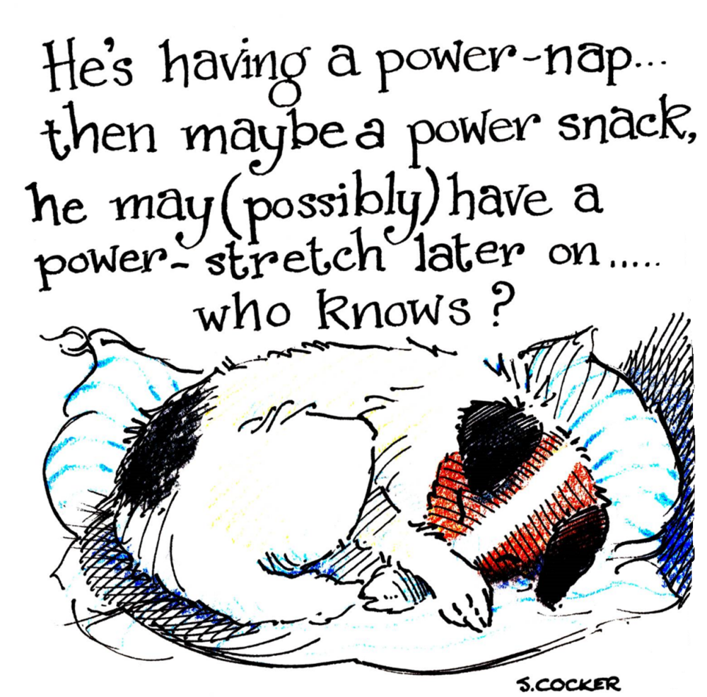 A Power Nap