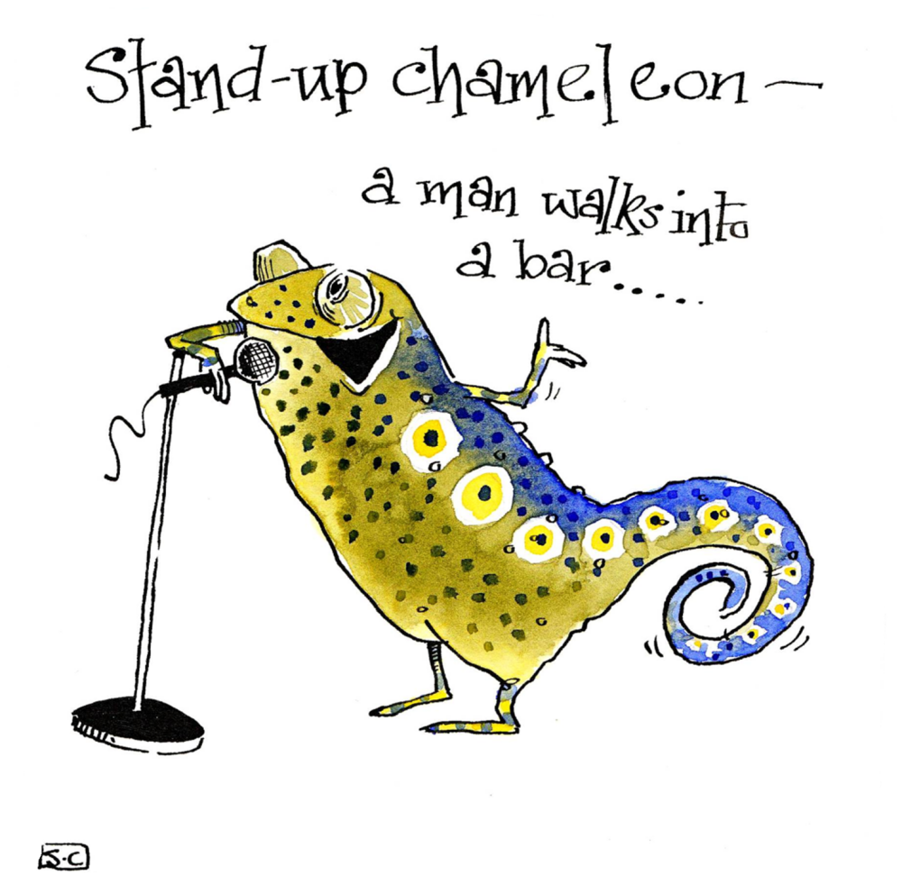 Stand Up Chameleon - A Card That Can Adapt To All Occasions
