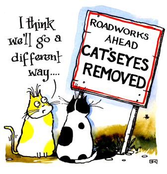 Cat's Eyes