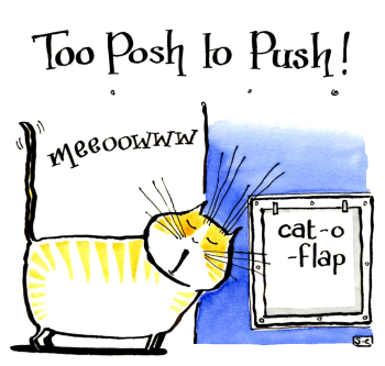 Too Posh To Push