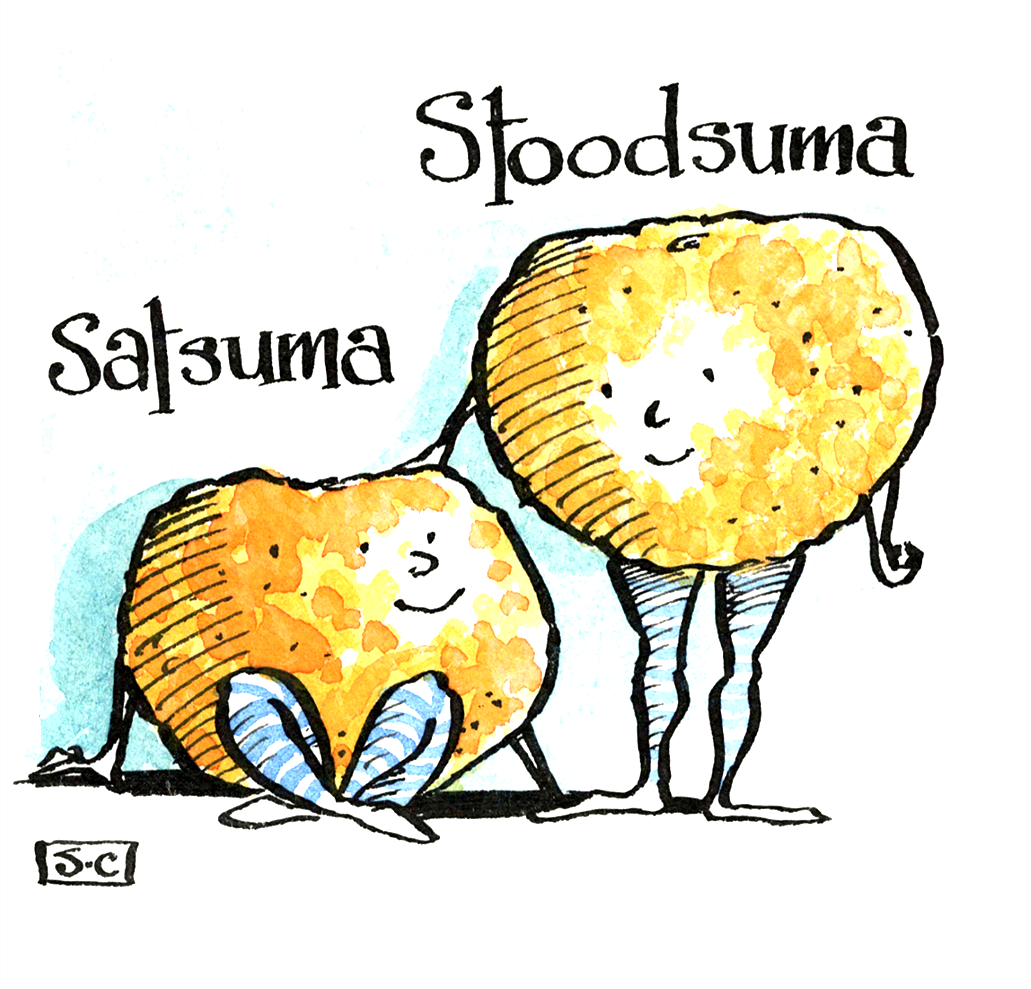 Satsumas
