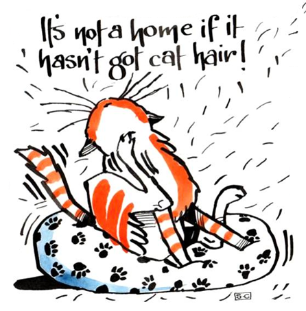 Cat Hair