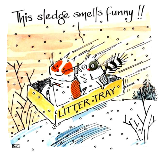 <!--10-->Sledging Fun At Christmas Card - Slide into the festive spirit wit