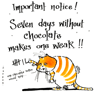 Chocoholic's Card For Cat Lovers