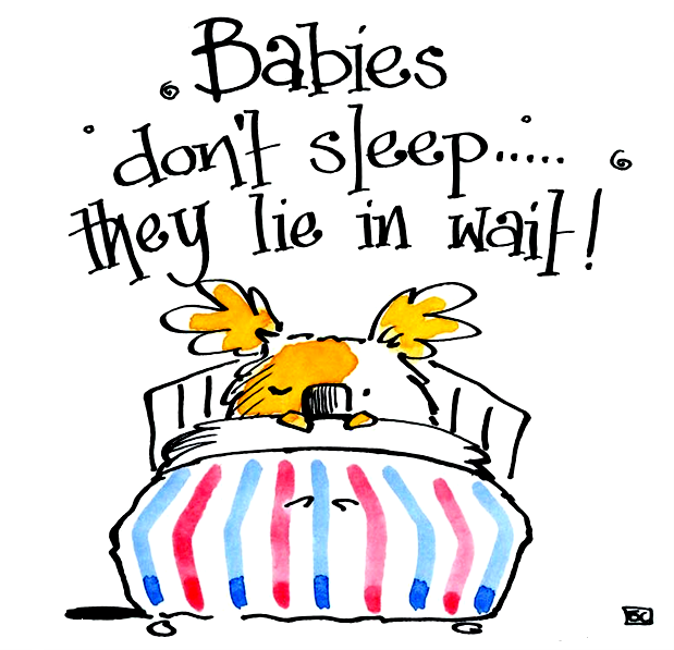 Babies Don't Sleep They Lie In Wait