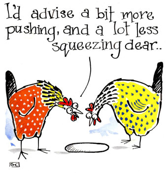 Hen Advice