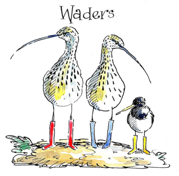 Waders