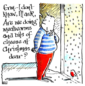 Christmas Card - Treats For The Birds