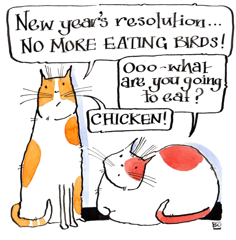 <!00400>Christmas Card Resolutions - No More Birds -