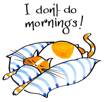 Cat Mornings - Teenager Birthday Card