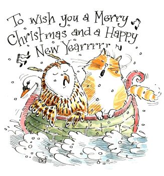 Owl and Pussycat Christmas Card - Festive Fun In A Boat