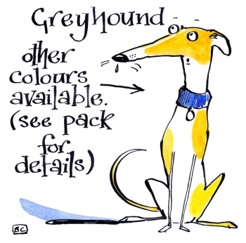 Greyhound Colours