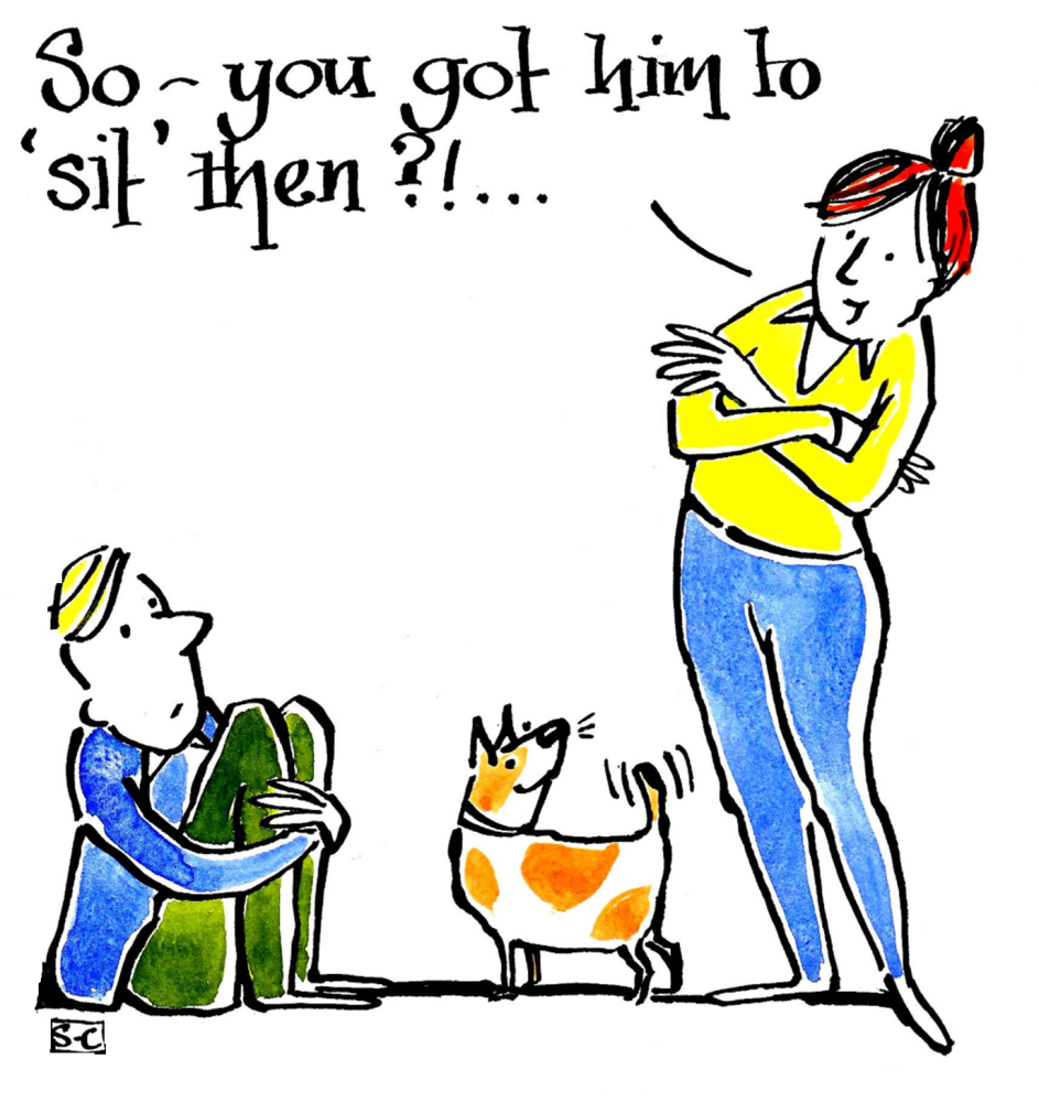 Obedience Training For Husbands - All Purpose Card