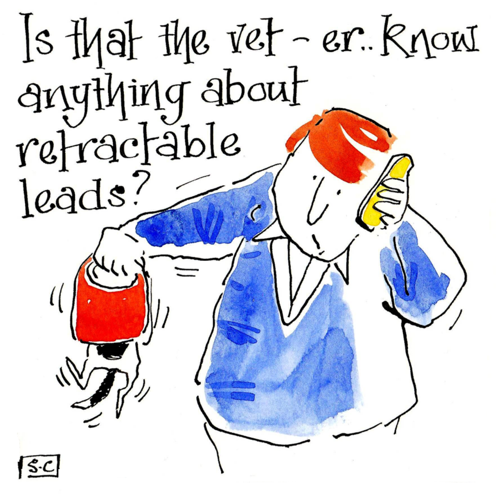 Retractable Leads - Doggy All Purpose Card