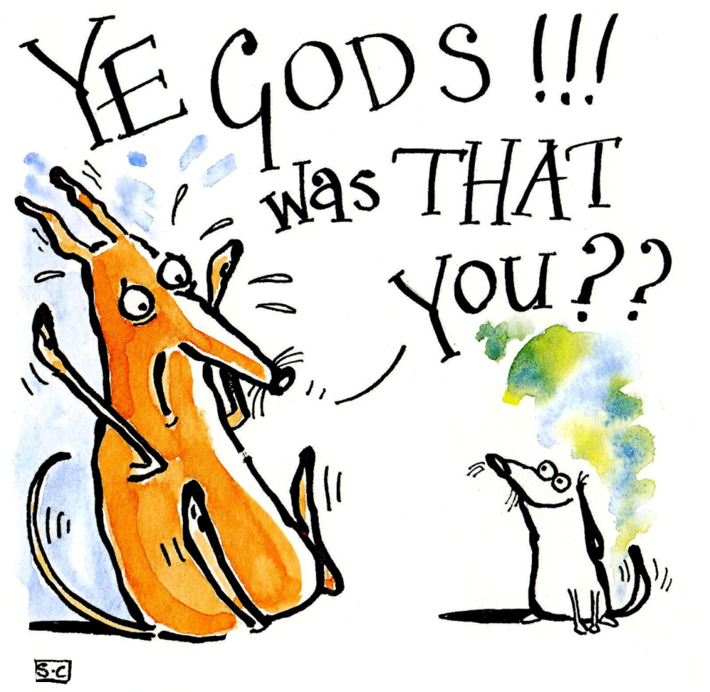 Ye Gods