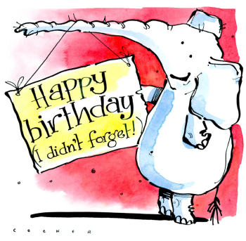 Elephant Fun: Hilarious Birthday (and or Belated) Card