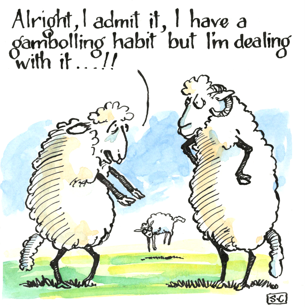 Sheep - Gambolling
