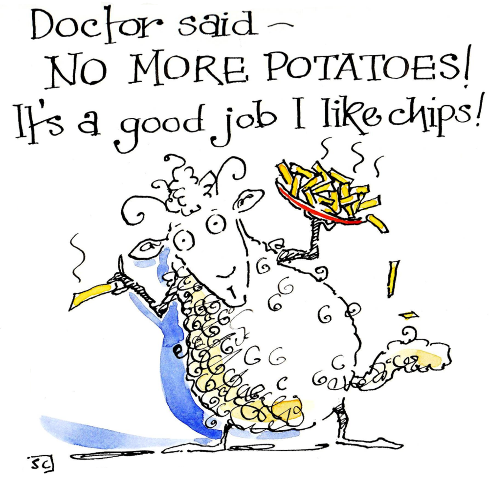 Sheep - Doctor Said....