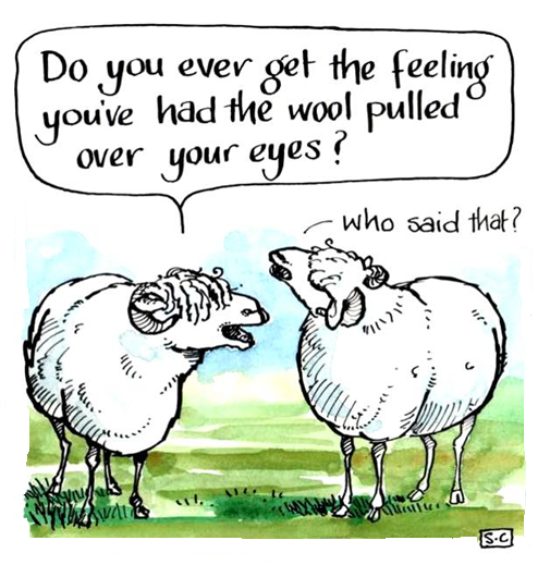 Sheep Dilemas - Pull The Wool