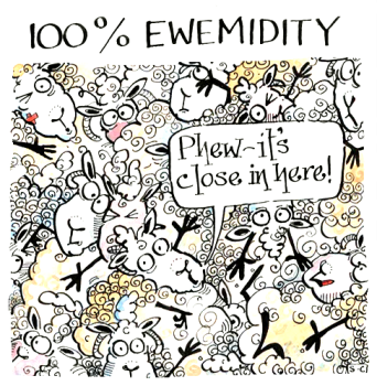 Sheep - Ewemidity