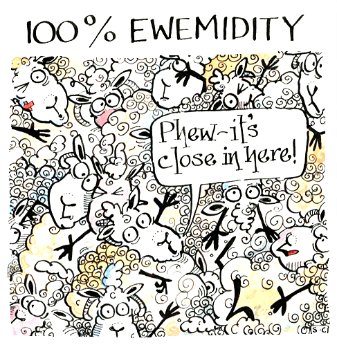 Sheep - Ewemidity