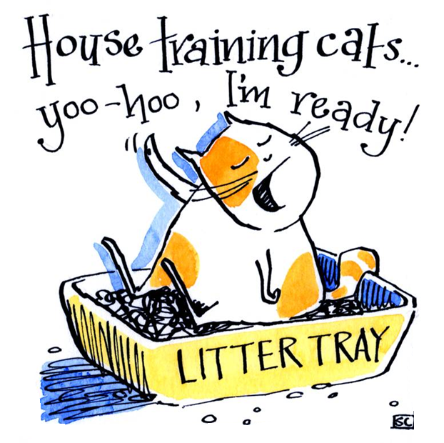 <!00200>House Training For Cats