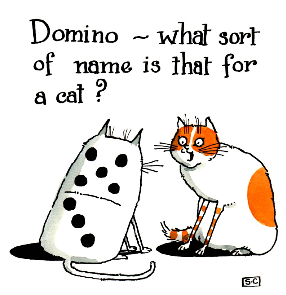 Domino