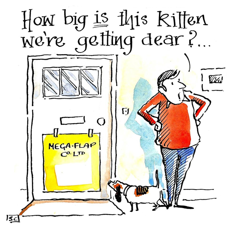 How Big Is This Kitten