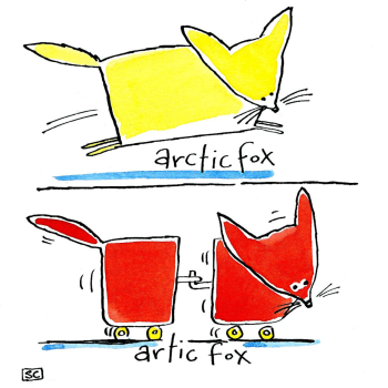 Artic/Arctic Fox