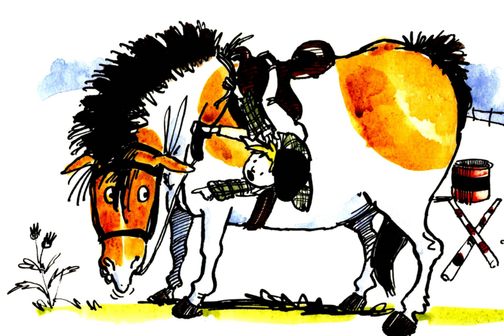 'I told you to wait till I was ready' the familiar cry from the new horse o