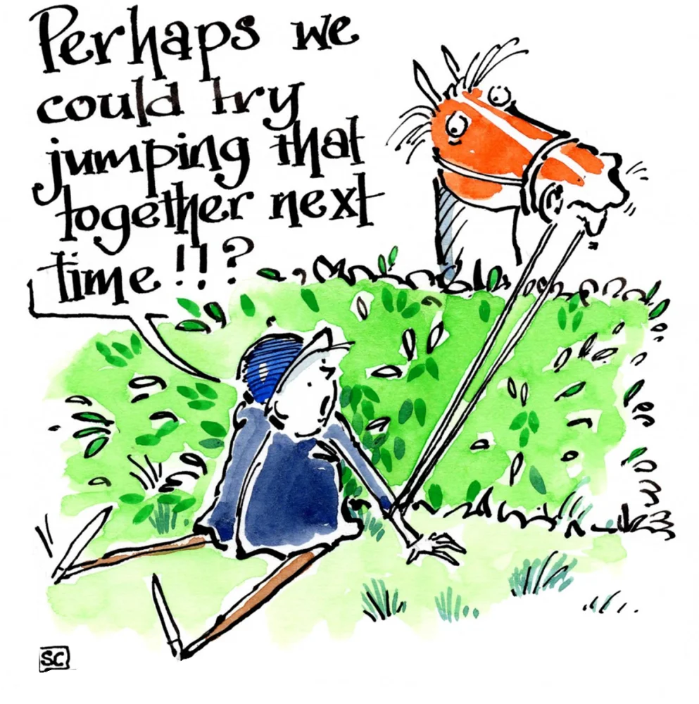 Horse-y Greeting Cards