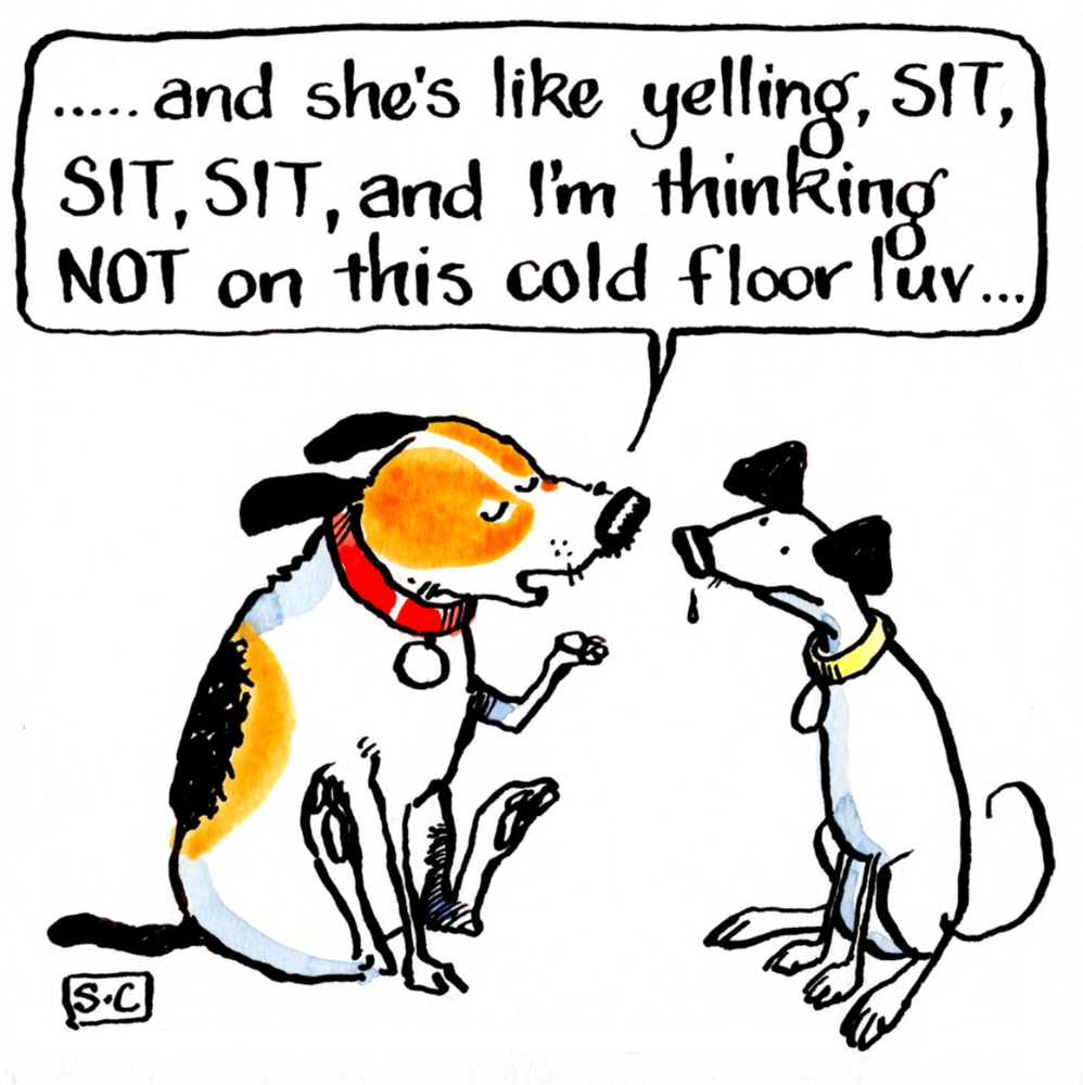 Dog Themed Greeting Cards - Offbeat Canine Humour