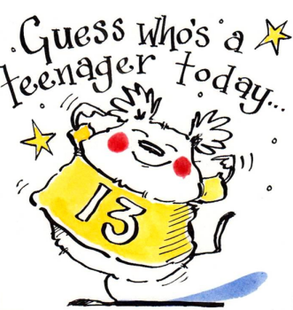 Teenager  13 Happy Birthday Card