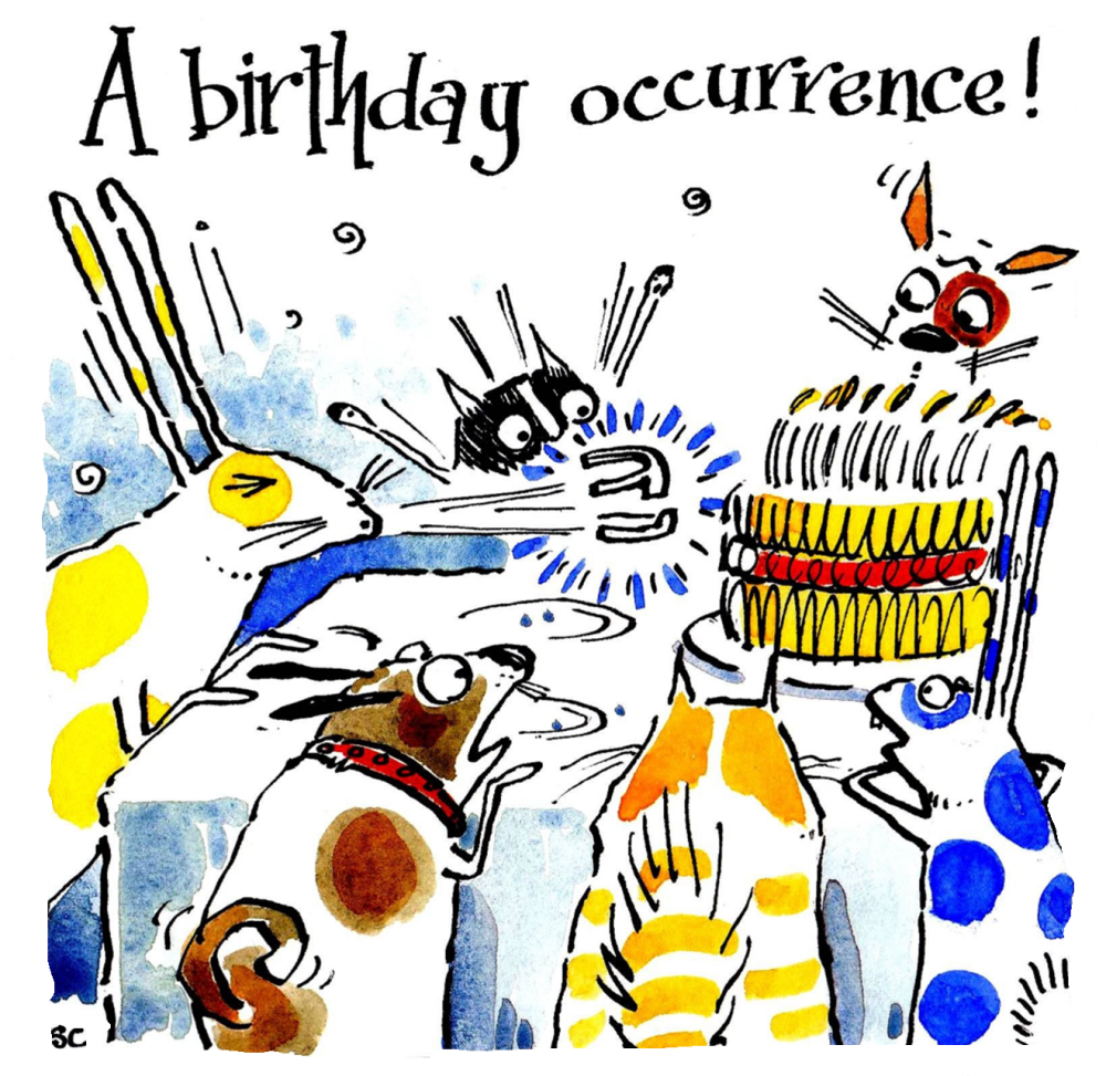 Party! Birthday  Occurence