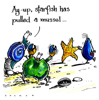 Starfish Pulled A Mussel - Seaside Themed Card