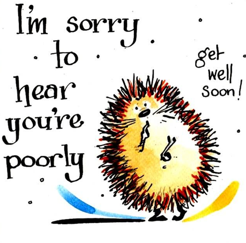 Funny Get Well Card:  I'm So Sorry To Hear You're Poorly