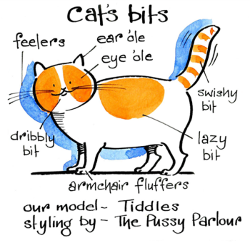 Cat's Bits