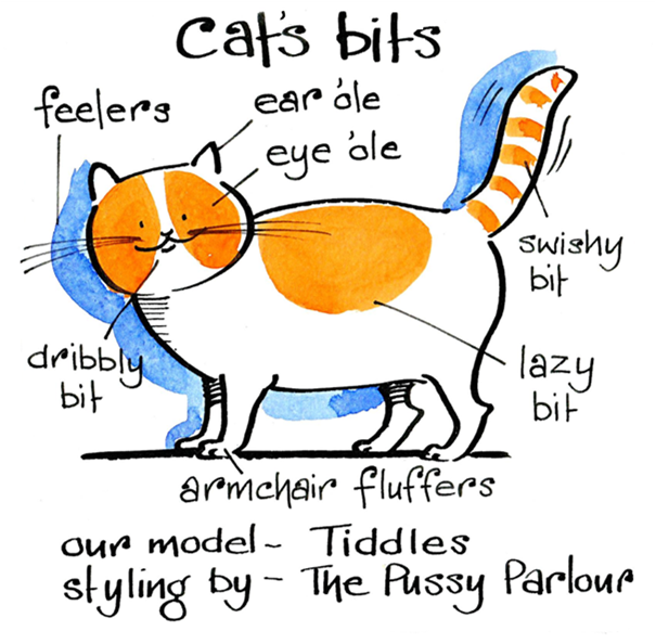 Cat's Bits