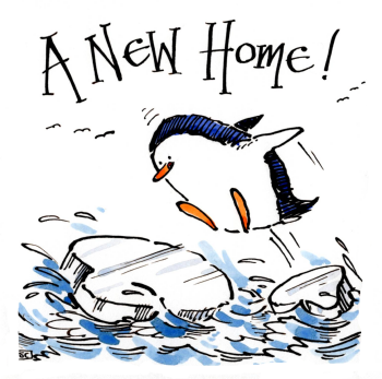 A Cool New Home