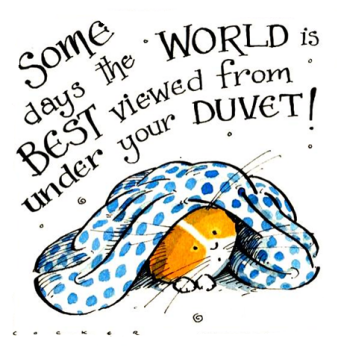 Duvet Days