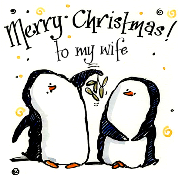 Merry Christmas to My Wife – Funny Penguin Xmas Card for Her
