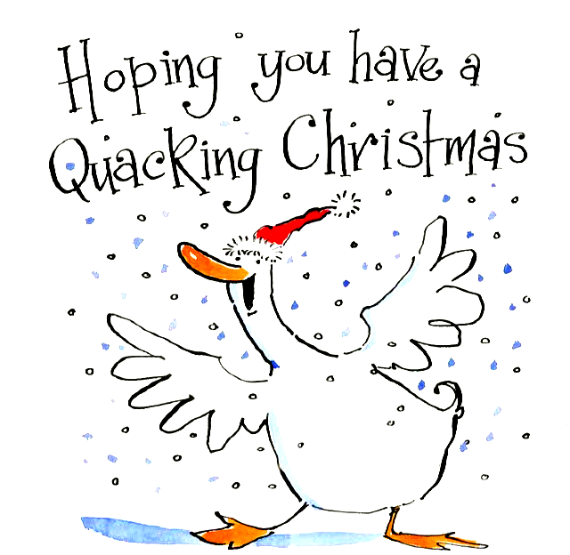 <!00800>Funny Duck Christmas Card – Quacking Xmas – Santa Hat Xmas Card