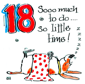 18 Sooo Much To Do...