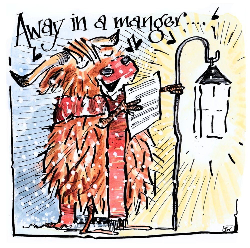 Christmas Cards - Funny, Unique & Charming