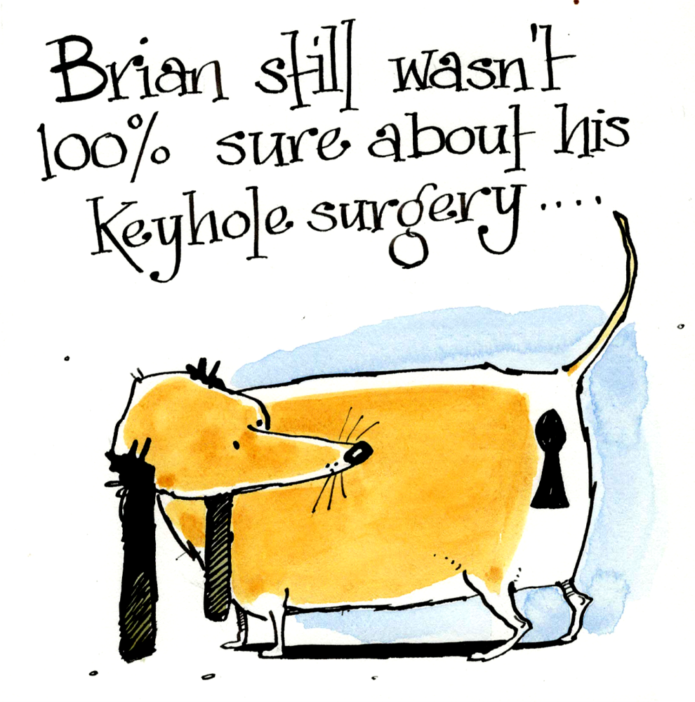 Brian's  Keyhole Surgery - Get Well