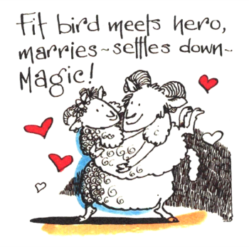 Fit Bird Meets Hero - Fabulous Wedding Card