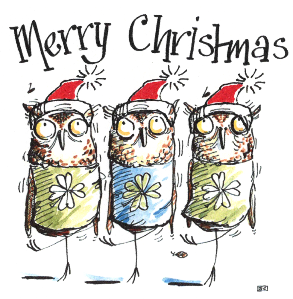 <!--8-->Irish Dancing Christmas Card – Funny Owls in Santa Hats